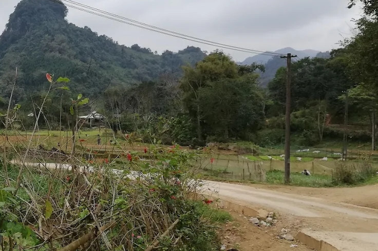 Biên bản của kiểm lâm tiết lộ sự thật thông tin hổ xuất hiện ở Phú Thọ