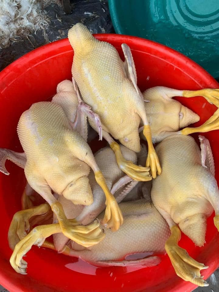 cau luong huyen.jpg