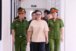 Hoàng Hường có thể đối diện mức án nào?