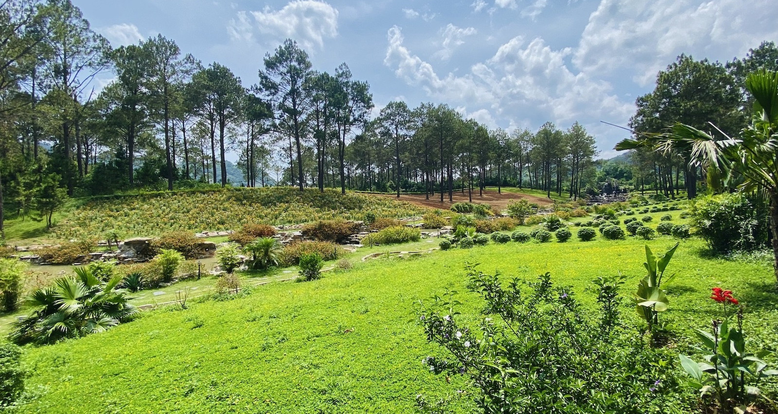 Mua đất bằng giấy viết tay năm 2012, chưa nộp thuế: Làm sổ đỏ thế nào?