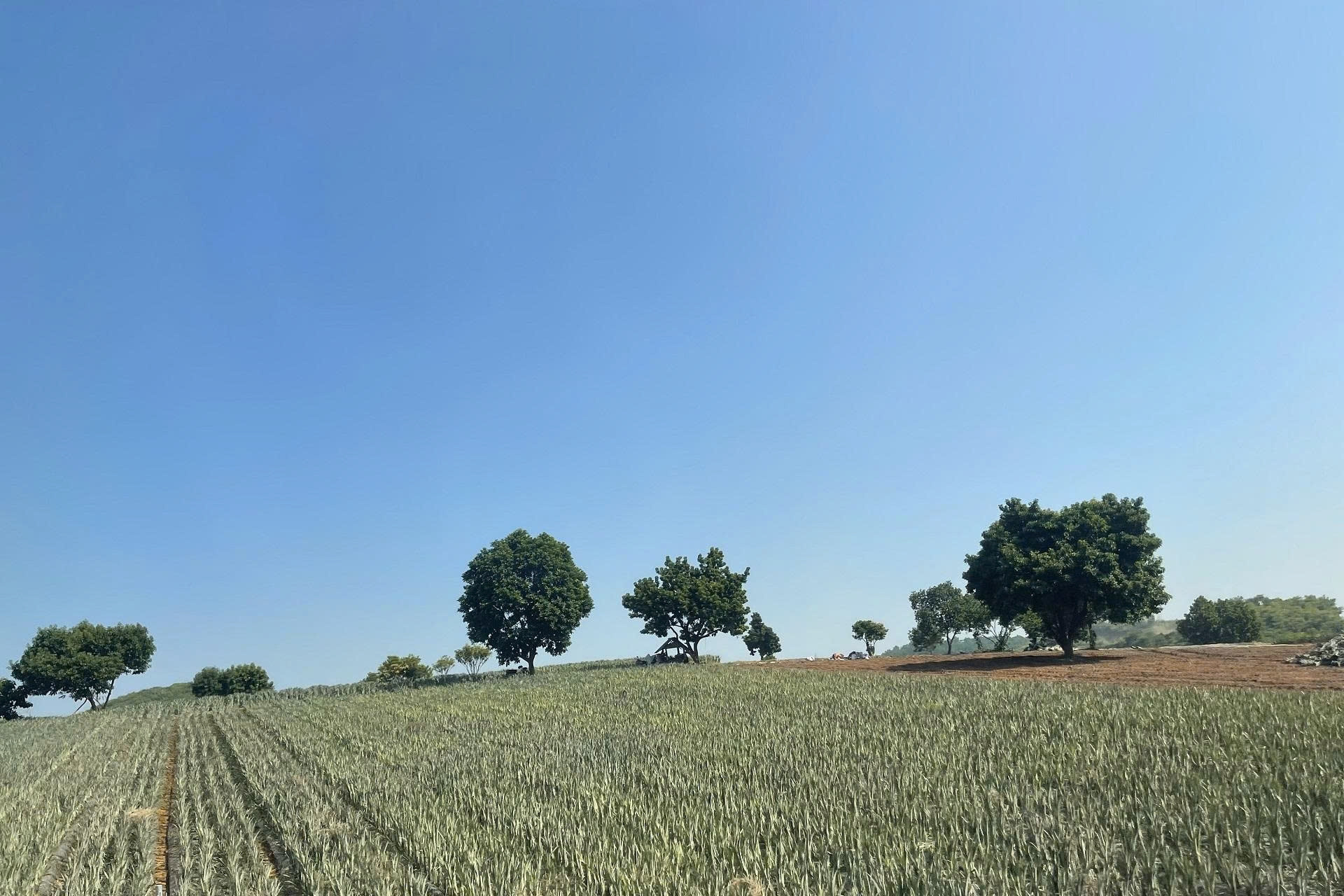 Ninh Bình đẩy mạnh tuyên truyền Chương trình OCOP, xây dựng nông thôn mới