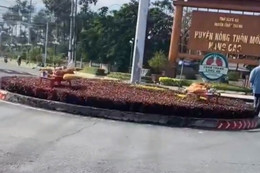 Sự thật về người bán nước trúng 8 vé số độc đắc, cúng 5 con heo quay giữa vòng xoay