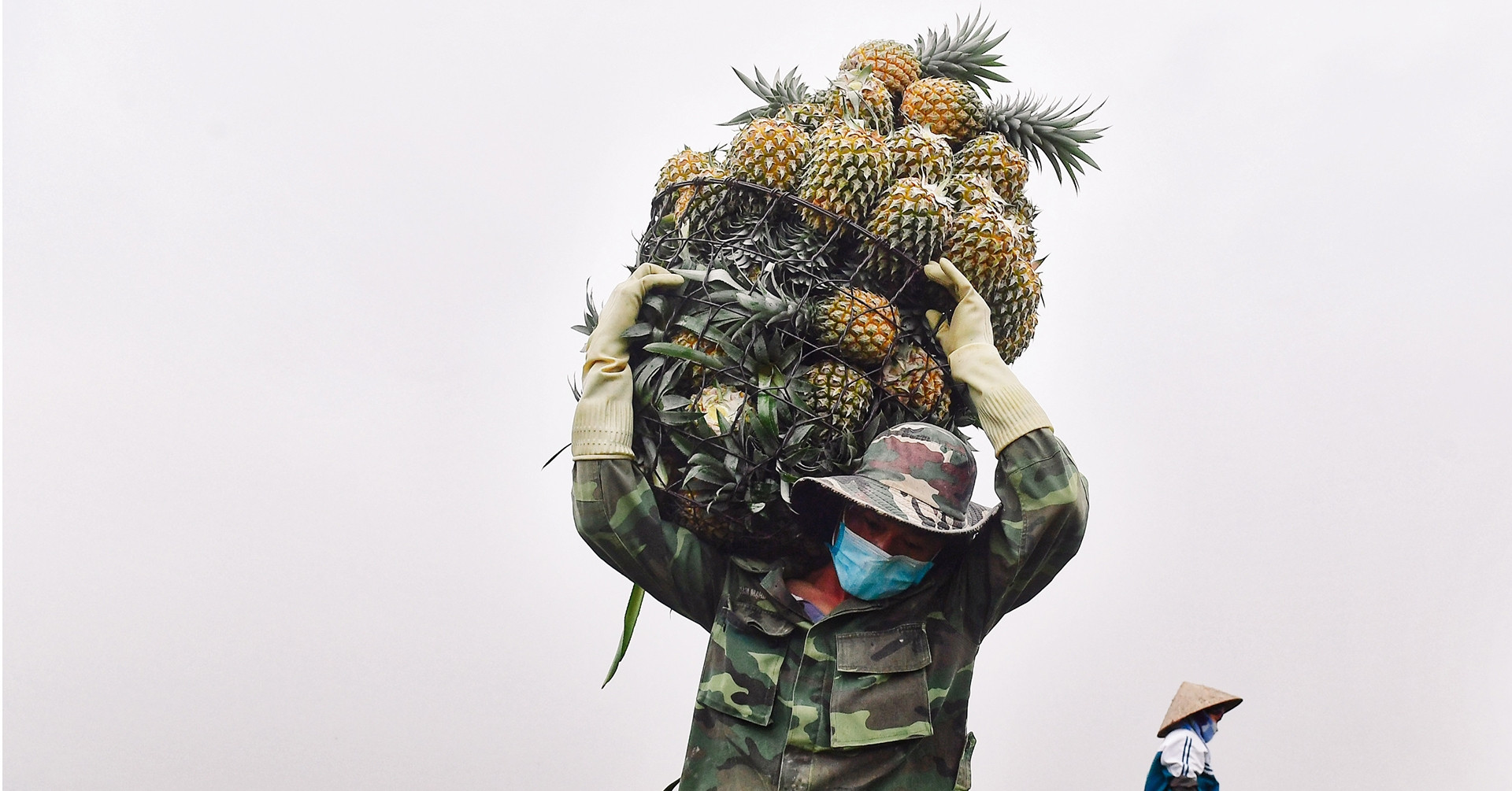 Trái cây ồ ạt xuất ngoại, doanh nghiệp thu tiền nhiều kỷ lục lịch sử