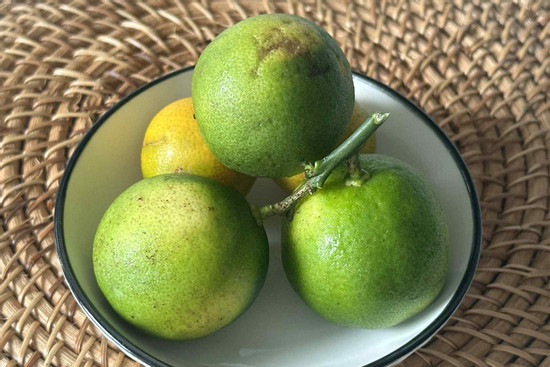 Vỏ chanh hay bị bỏ đi nhưng lại nhiều chất bổ, có thể phòng ung thư