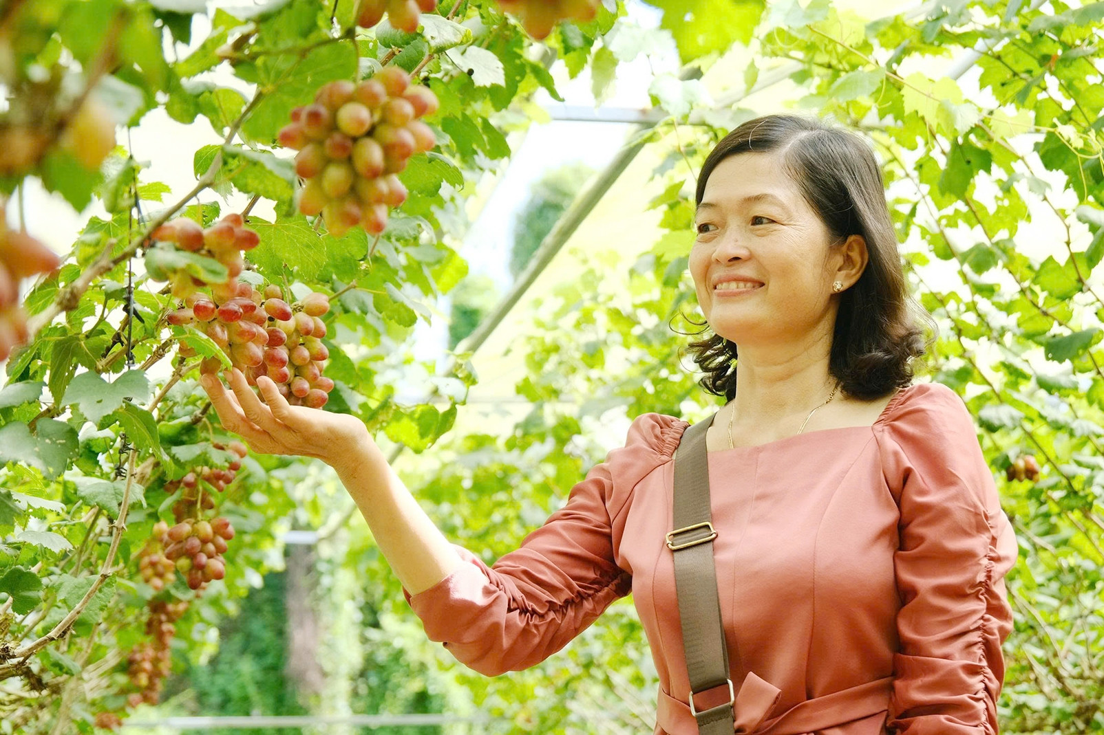 Anh nông dân Cần Thơ biến vườn nho 5.000m2 thành điểm du lịch xanh hút khách