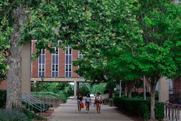 Bị giáo sư phát hiện gian lận, hàng chục sinh viên nhờ AI viết thư xin lỗi