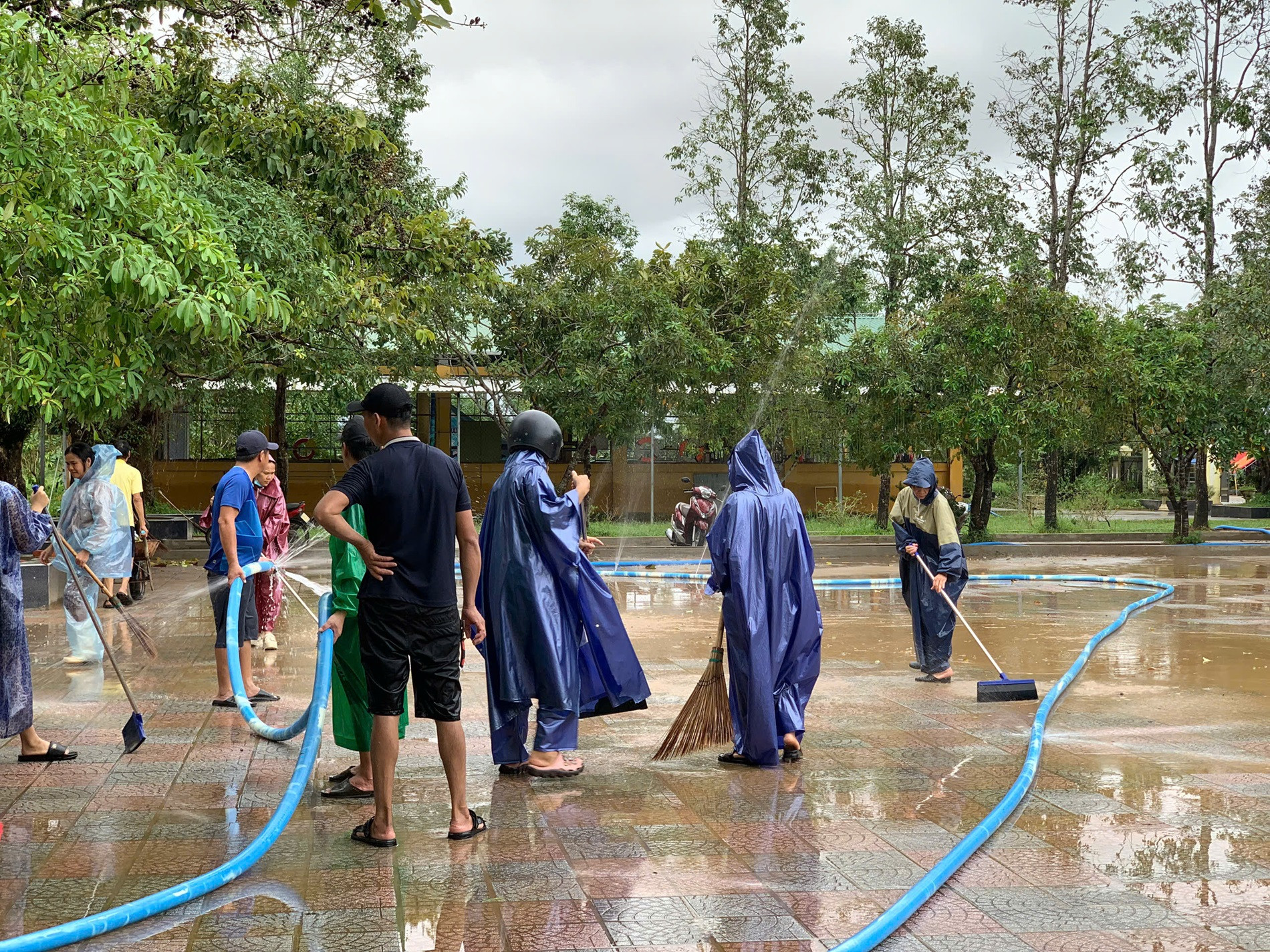 Dọn trường (17).jpg