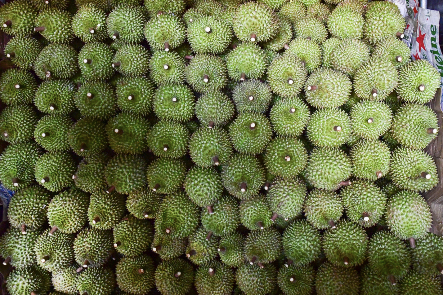 Gần 2.000 container sầu riêng bị ùn ứ: Phó Thủ tướng yêu cầu làm rõ trách nhiệm