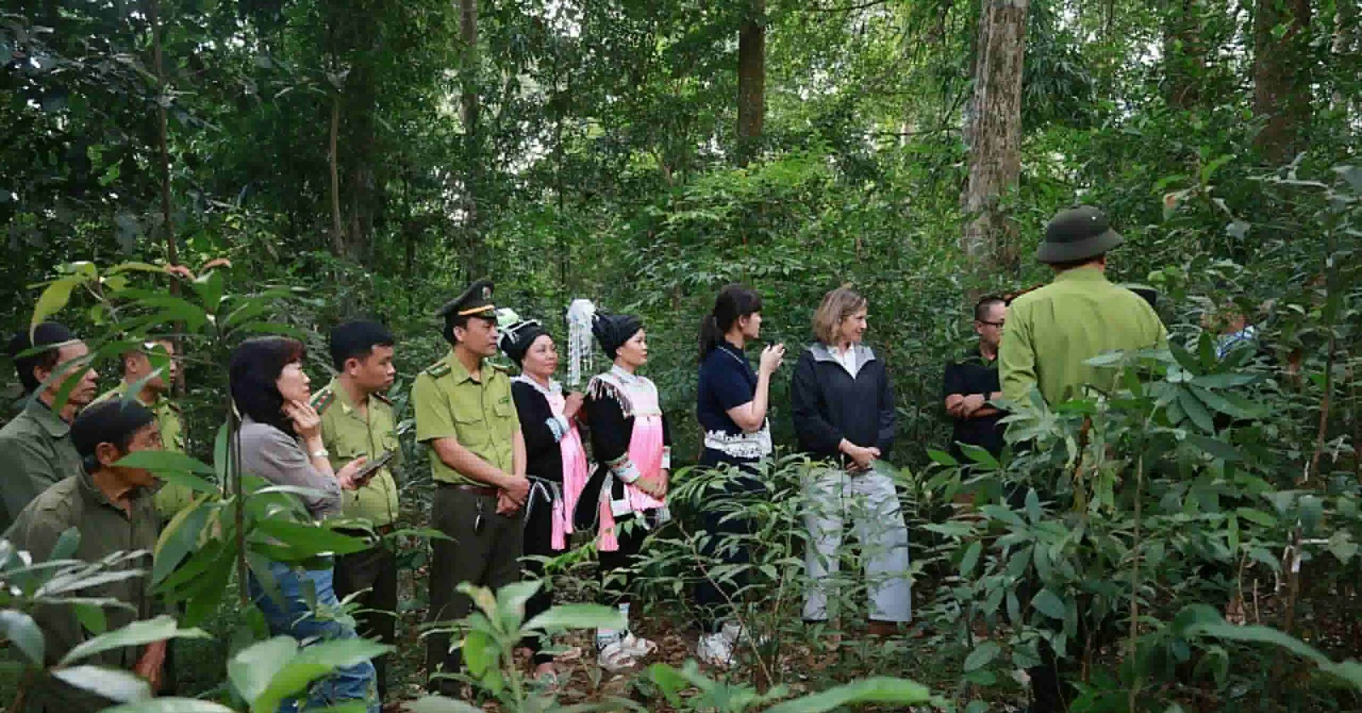 Tăng cường khả năng chống chịu khí hậu và quản lý rừng bền vững tại Việt Nam