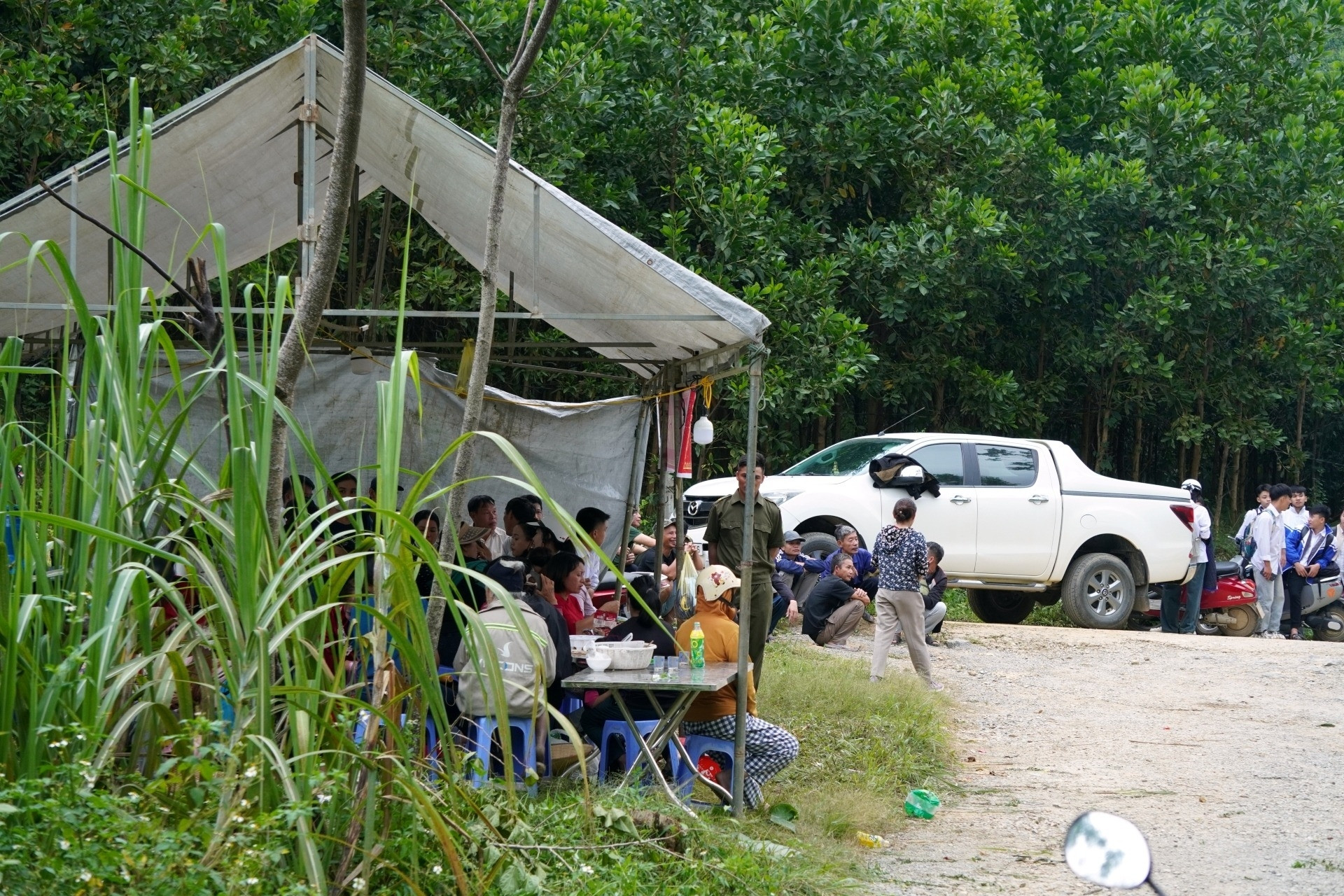 Vụ dân dựng lều phản đối trại lợn ở Thanh Hóa: Ngừng nuôi mới, xử lý ngay ô nhiễm