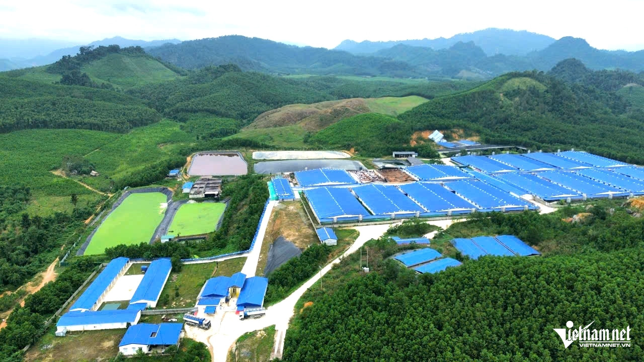 W-a6Người dân ở Thanh Hóa dựng lều.jpg