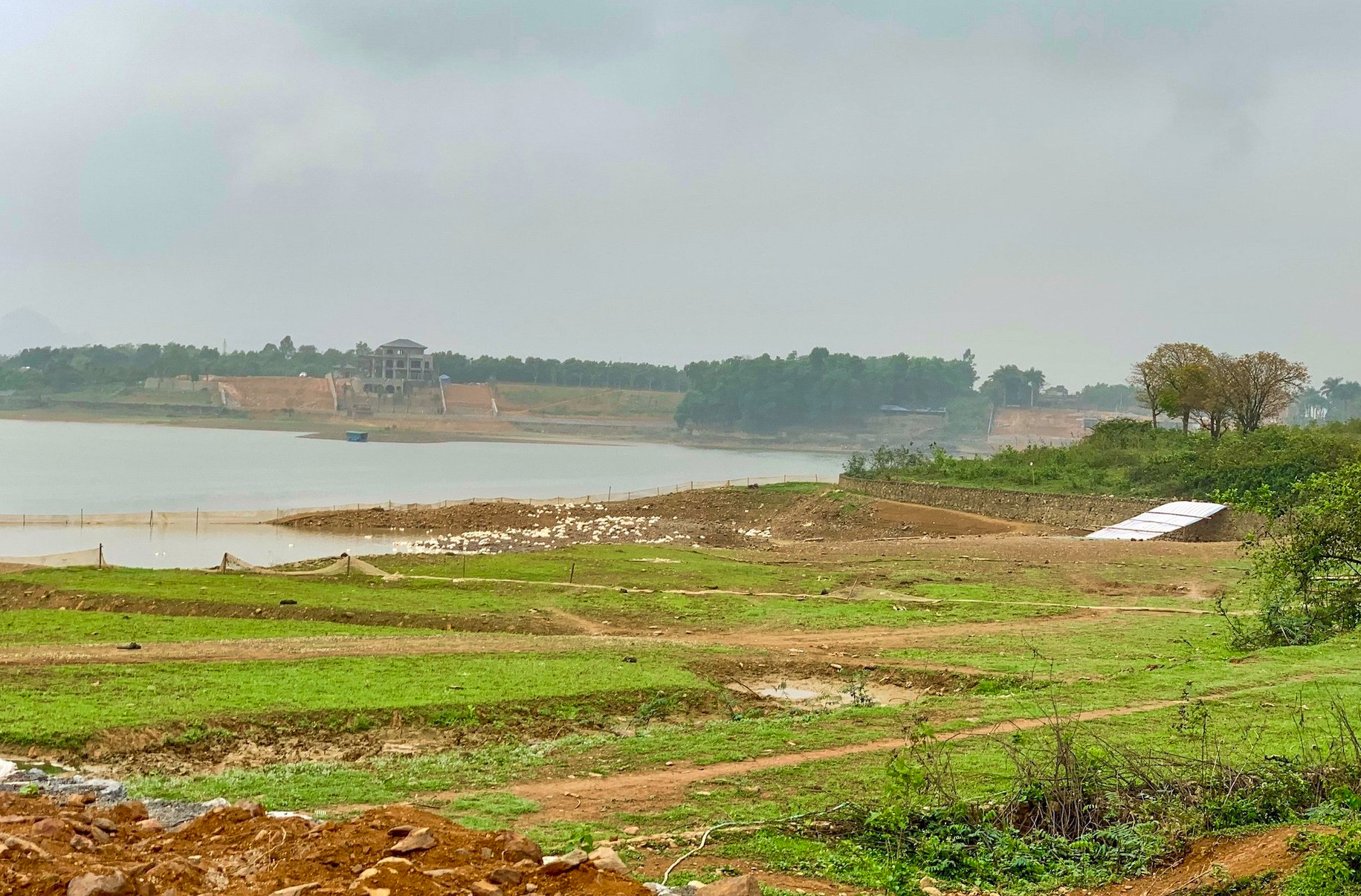 w dat nong nghiep vietnamnet 525.jpg