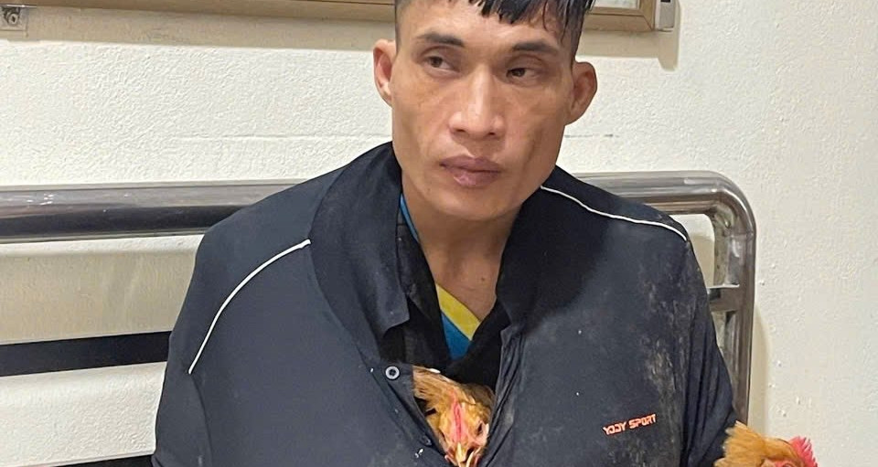 Bắt kẻ trộm gà với màn ngụy trang &amp;apos;có một không hai&amp;apos; khiến ai cũng ngỡ ngàng