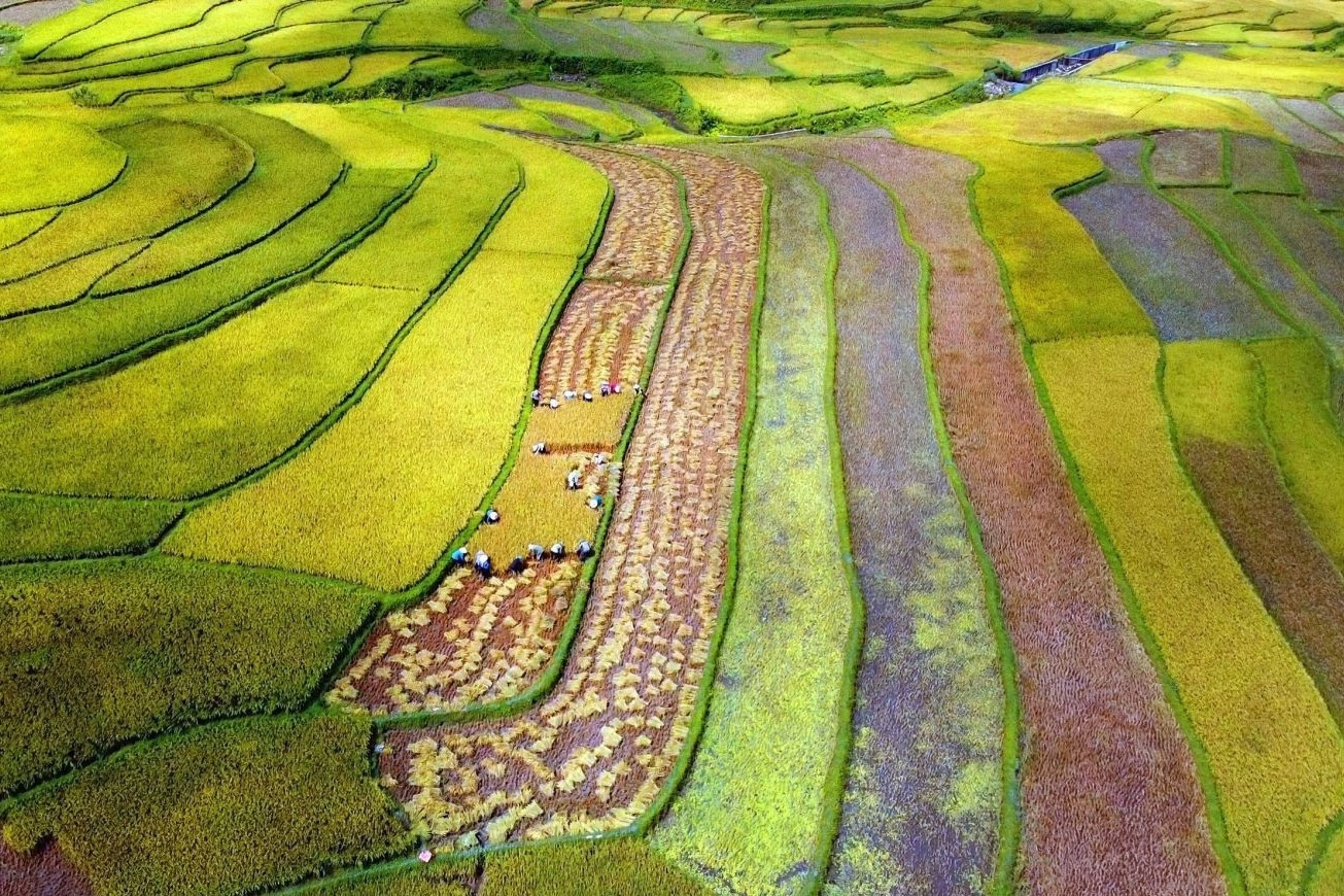 Tỉnh nào có dân cư thưa thớt nhất Việt Nam hiện nay?