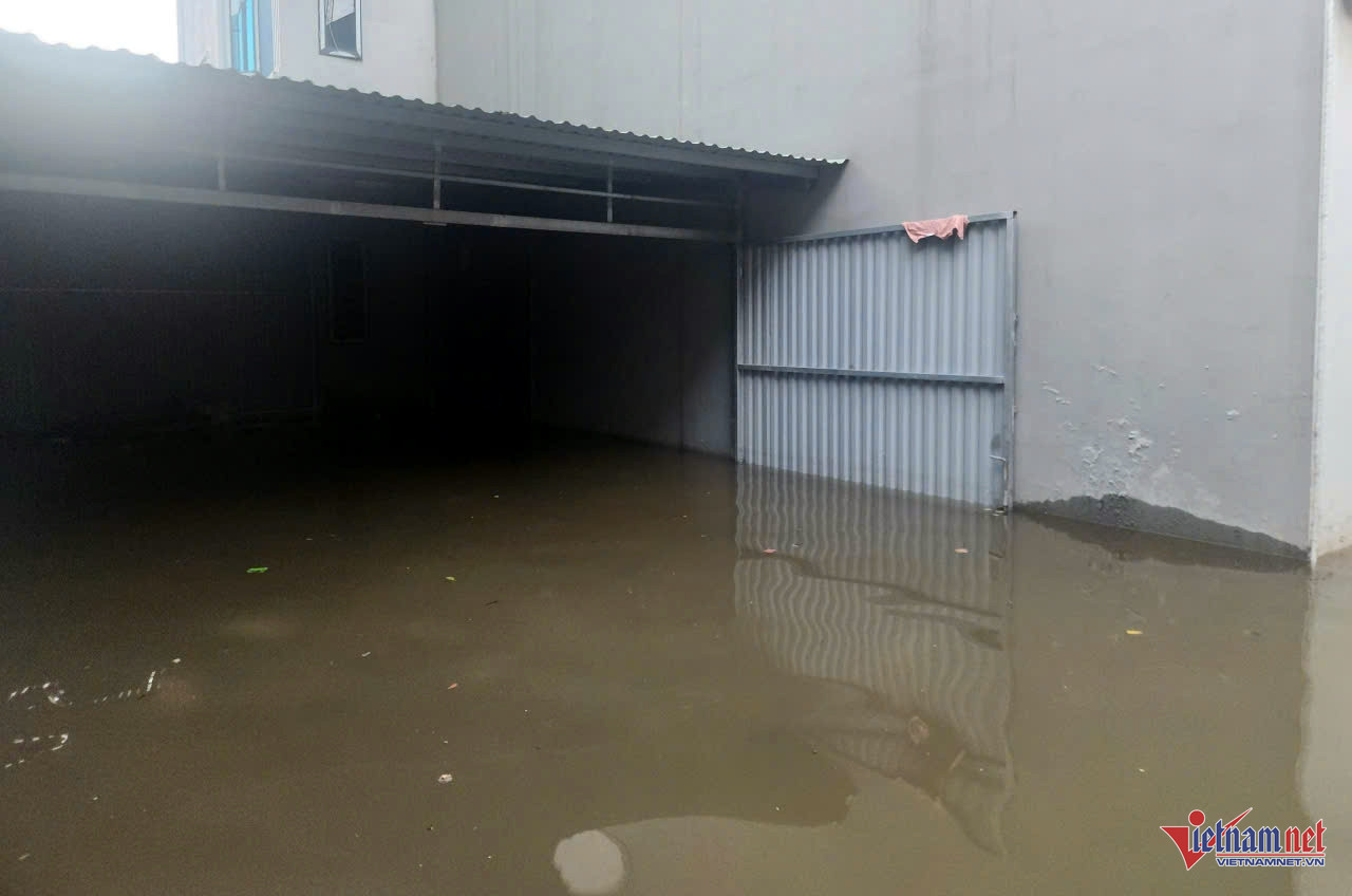 W-âmmamamamamama (1).jpg