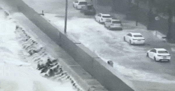 Bão Matmo đổ bổ vào Trung Quốc, gây sóng cao 4m và lở đất ở nhiều khu vực