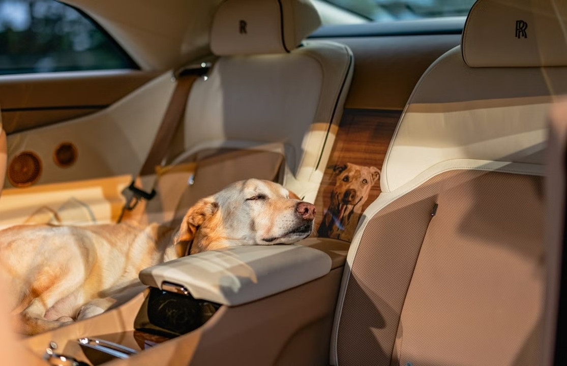 Bất ngờ nhân vật đặc biệt khiến đại gia phải tặng xe siêu sang Rolls-Royce