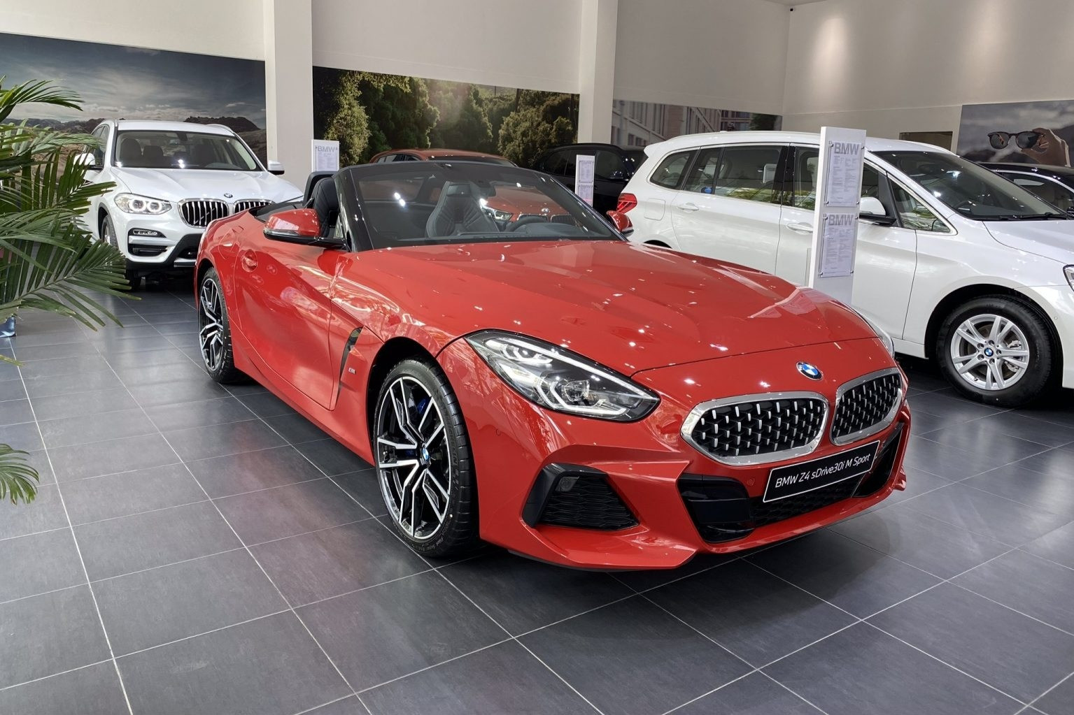 BMW Z4.jpeg