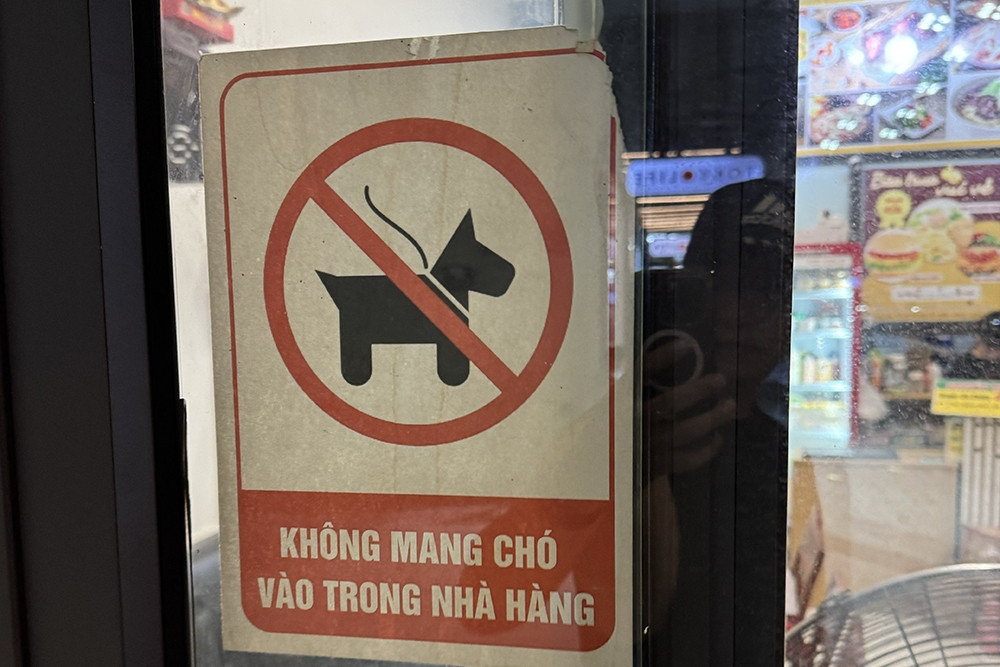 Chủ quán cà phê khó xử vì khách VIP mang thú cưng vào quán