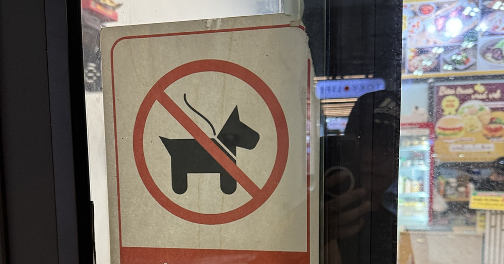 Chủ quán cà phê khó xử vì khách VIP mang thú cưng vào quán