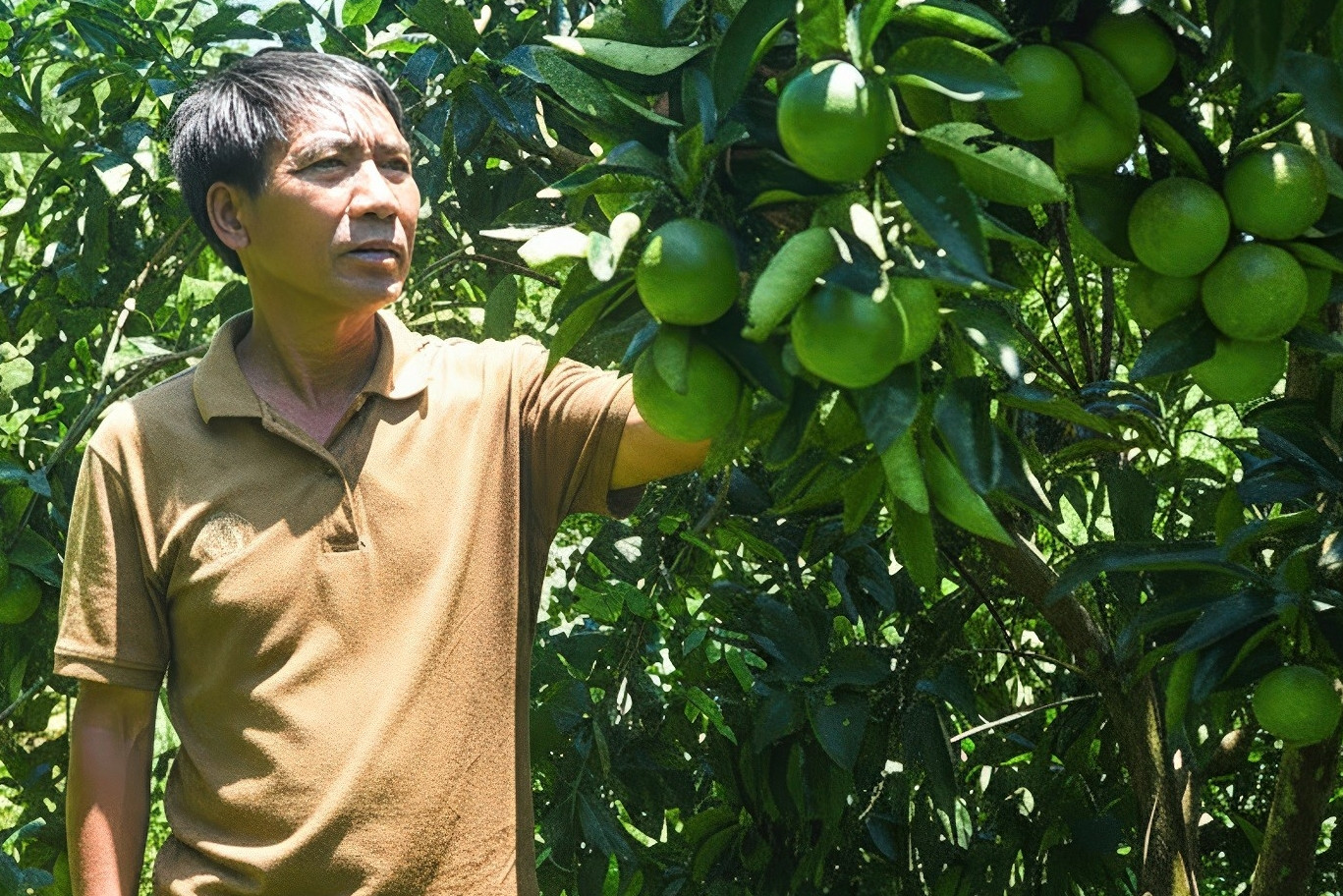 Giữa đại ngàn Trường Sơn, đồng bào Gié Triêng làm nên ‘kỳ tích cam Vinh’