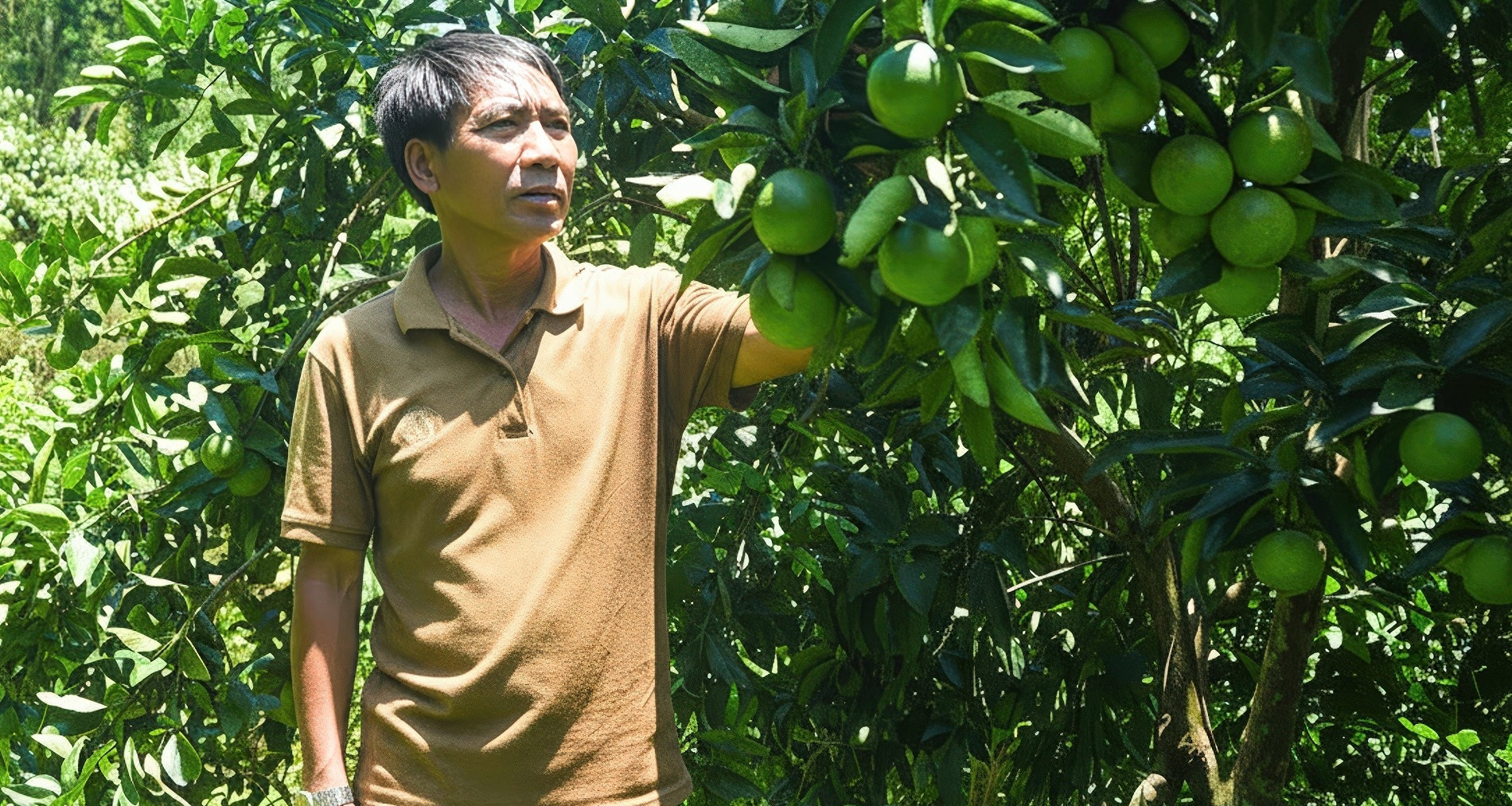 Giữa đại ngàn Trường Sơn, đồng bào Gié Triêng làm nên ‘kỳ tích cam Vinh’