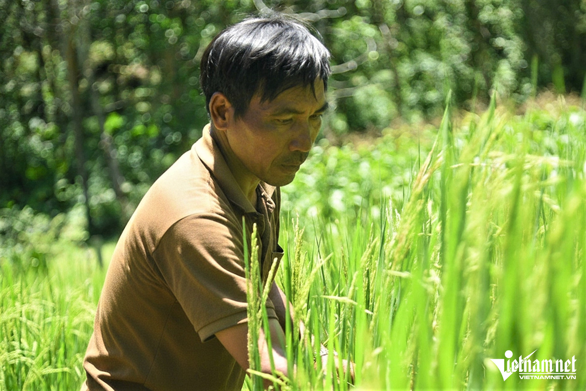 W-Anh 2.JPG.jpg