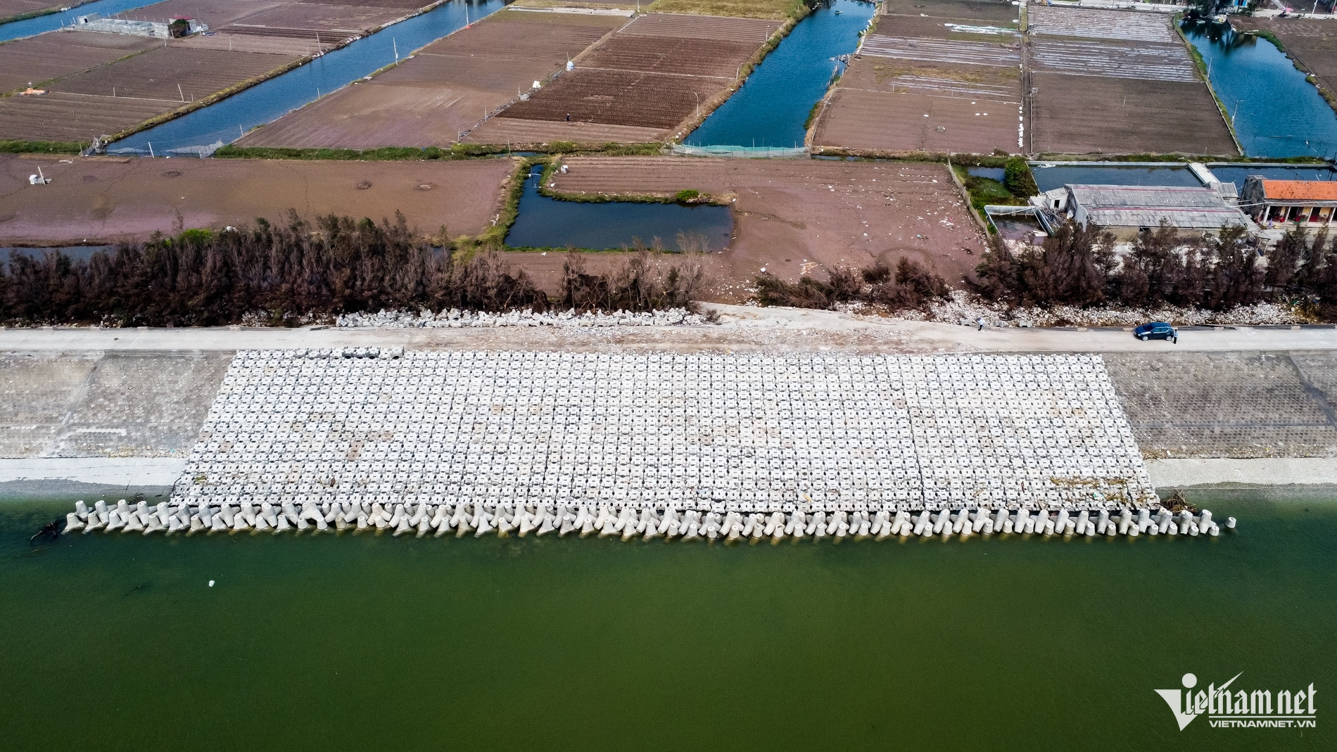 W-hải Thịnh_1.jpg