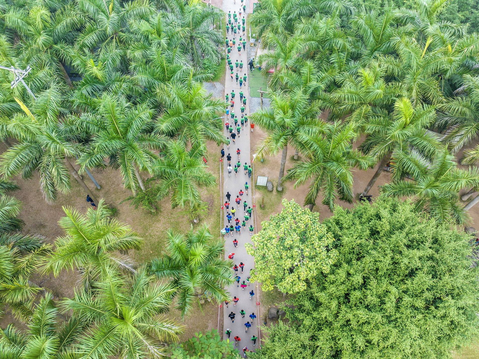 Anh 1 Ecopark.jpg