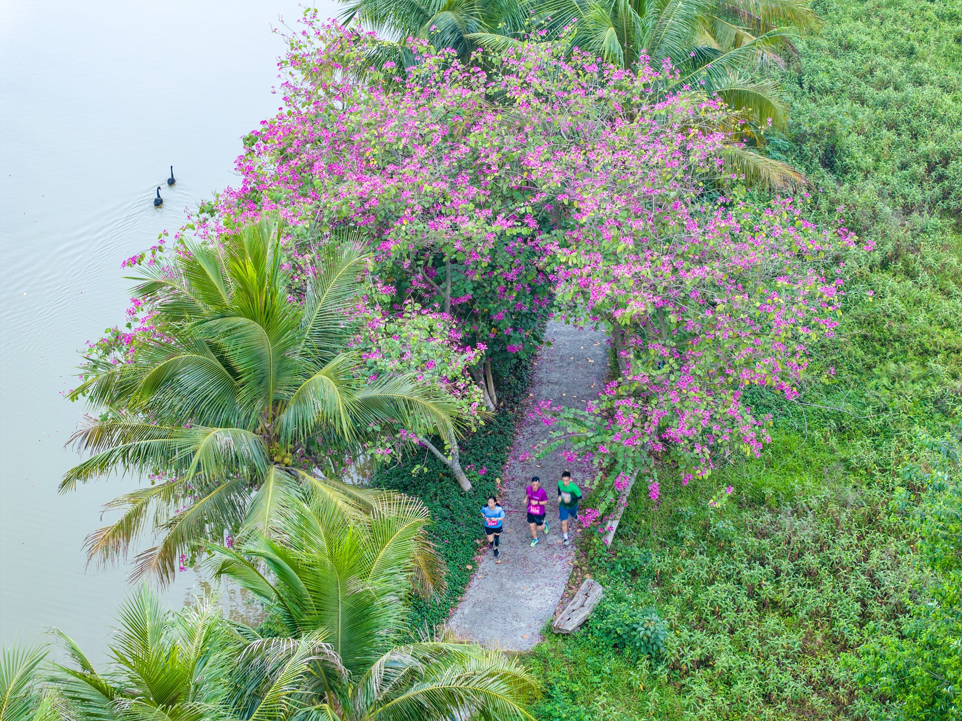 Anh 2 Ecopark.jpg