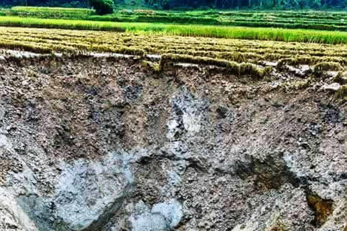 Cảnh tượng gây hoang mang xuất hiện cạnh khu dân cư ở Tuyên Quang