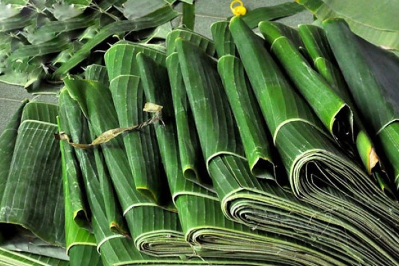 Chỉ bán lá cây cho khách nước ngoài, doanh nghiệp ‘ôm’ về 392 tỷ đồng