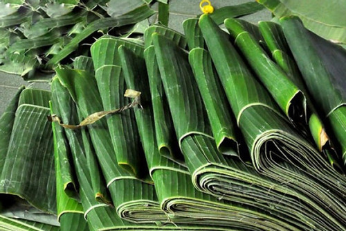 Chỉ bán lá cây cho khách nước ngoài, doanh nghiệp ‘ôm’ về 392 tỷ đồng