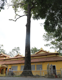 Đình Thoại Ngọc Hầu 2.JPG.jpg