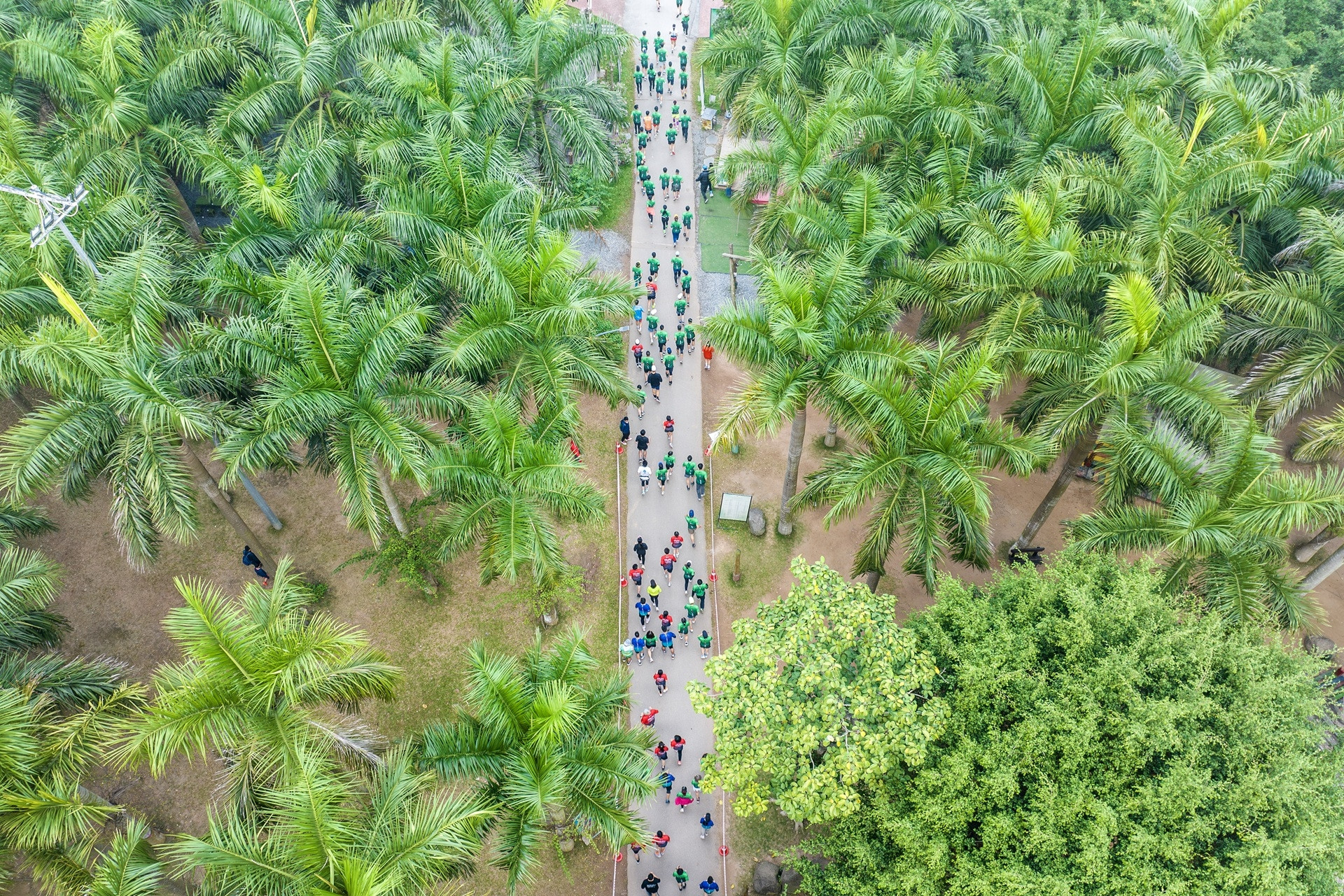 Đô thị lớn bậc nhất Nghệ An lần đầu tổ chức giải chạy Eco Central Park Marathon