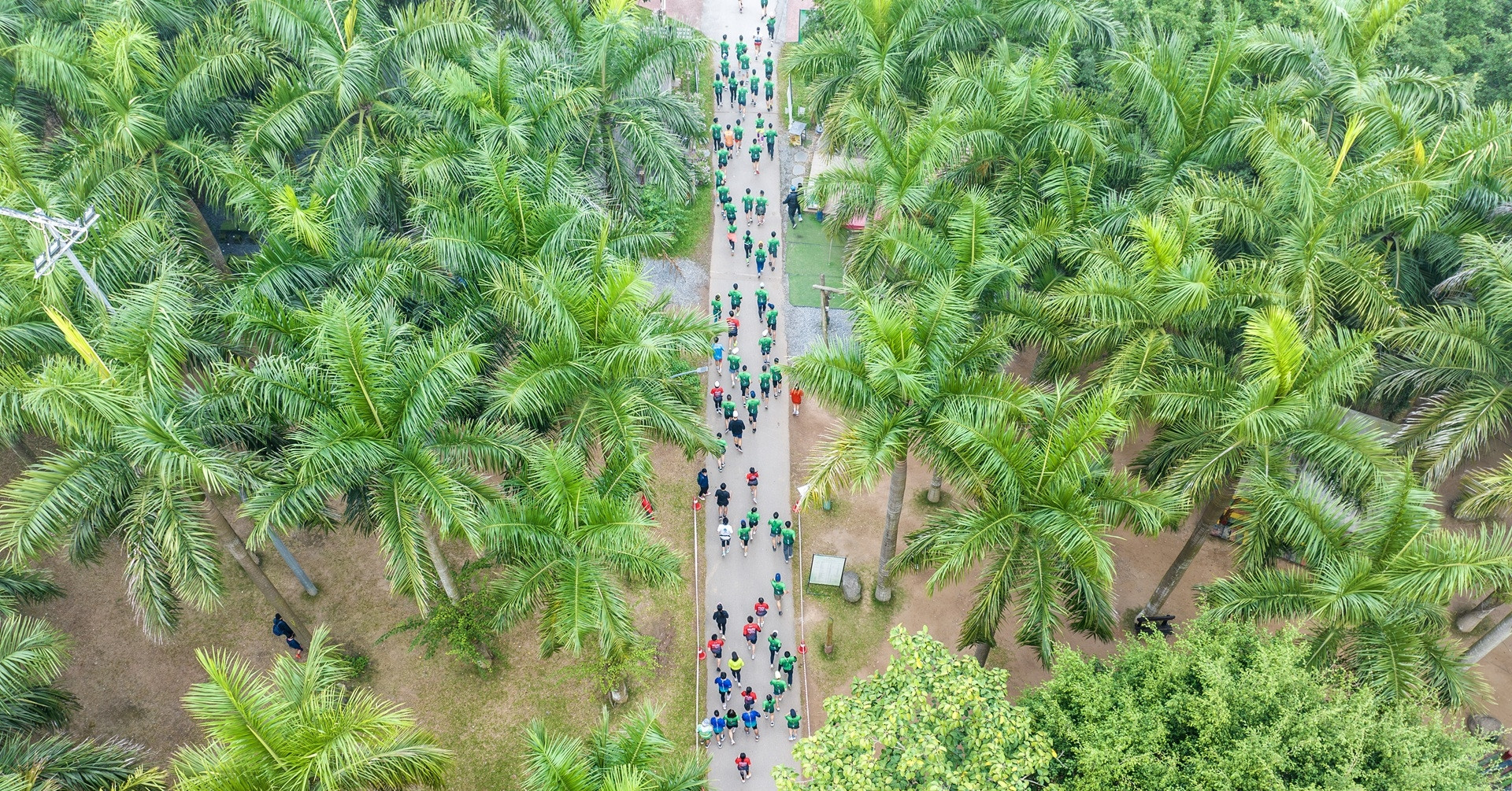 Đô thị lớn bậc nhất Nghệ An lần đầu tổ chức giải chạy Eco Central Park Marathon
