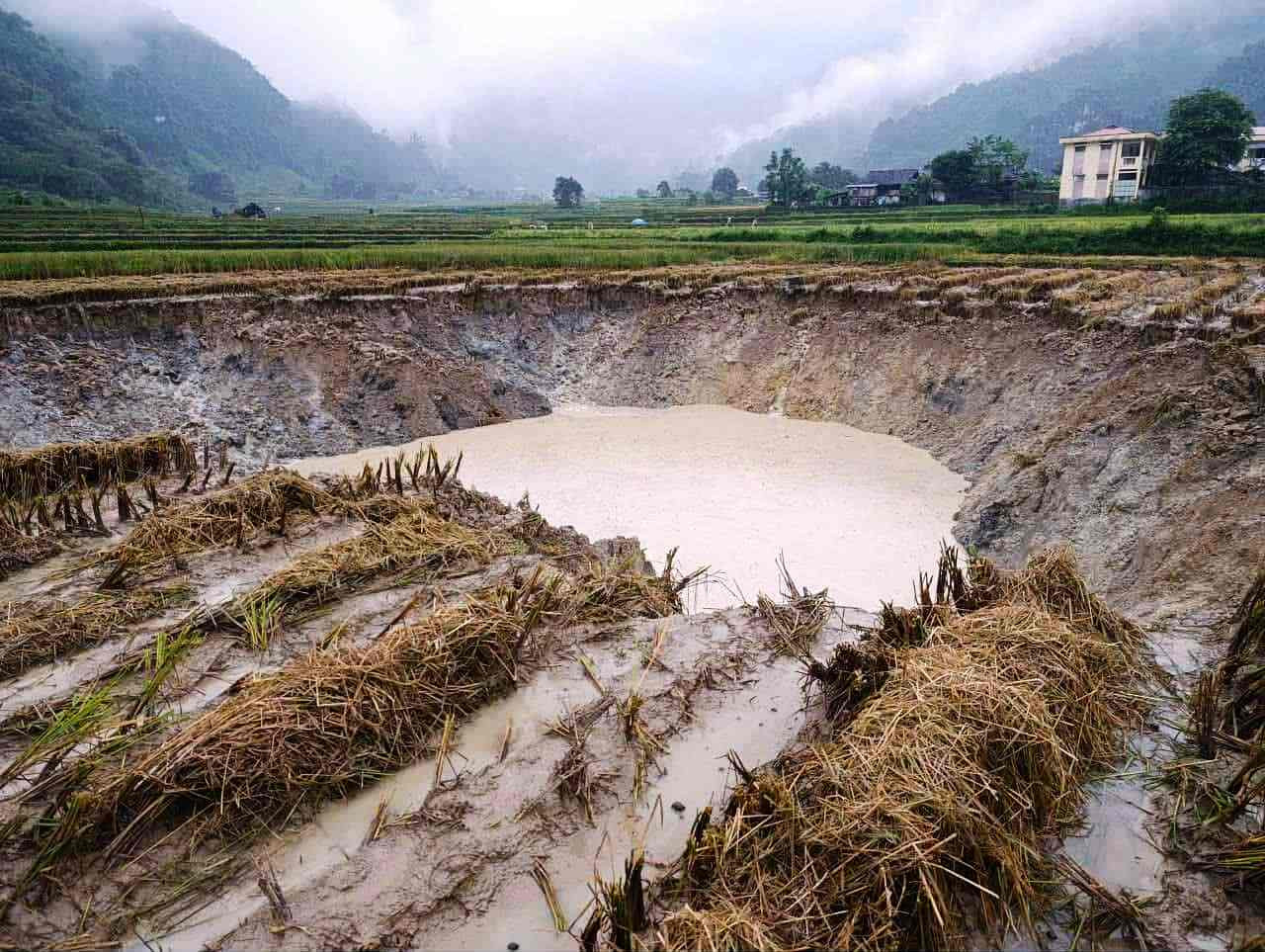 e69e64bd 41c3 4772 bdb3 8d57801d2540.jpg