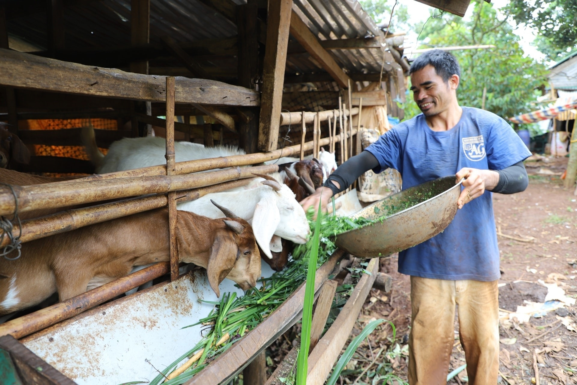Sinh kế mới giúp bà con đồng bào dân tộc thiểu số ở Lâm Đồng thoát nghèo