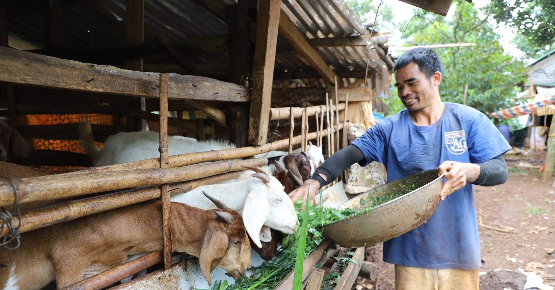 Sinh kế mới giúp bà con đồng bào dân tộc thiểu số ở Lâm Đồng thoát nghèo