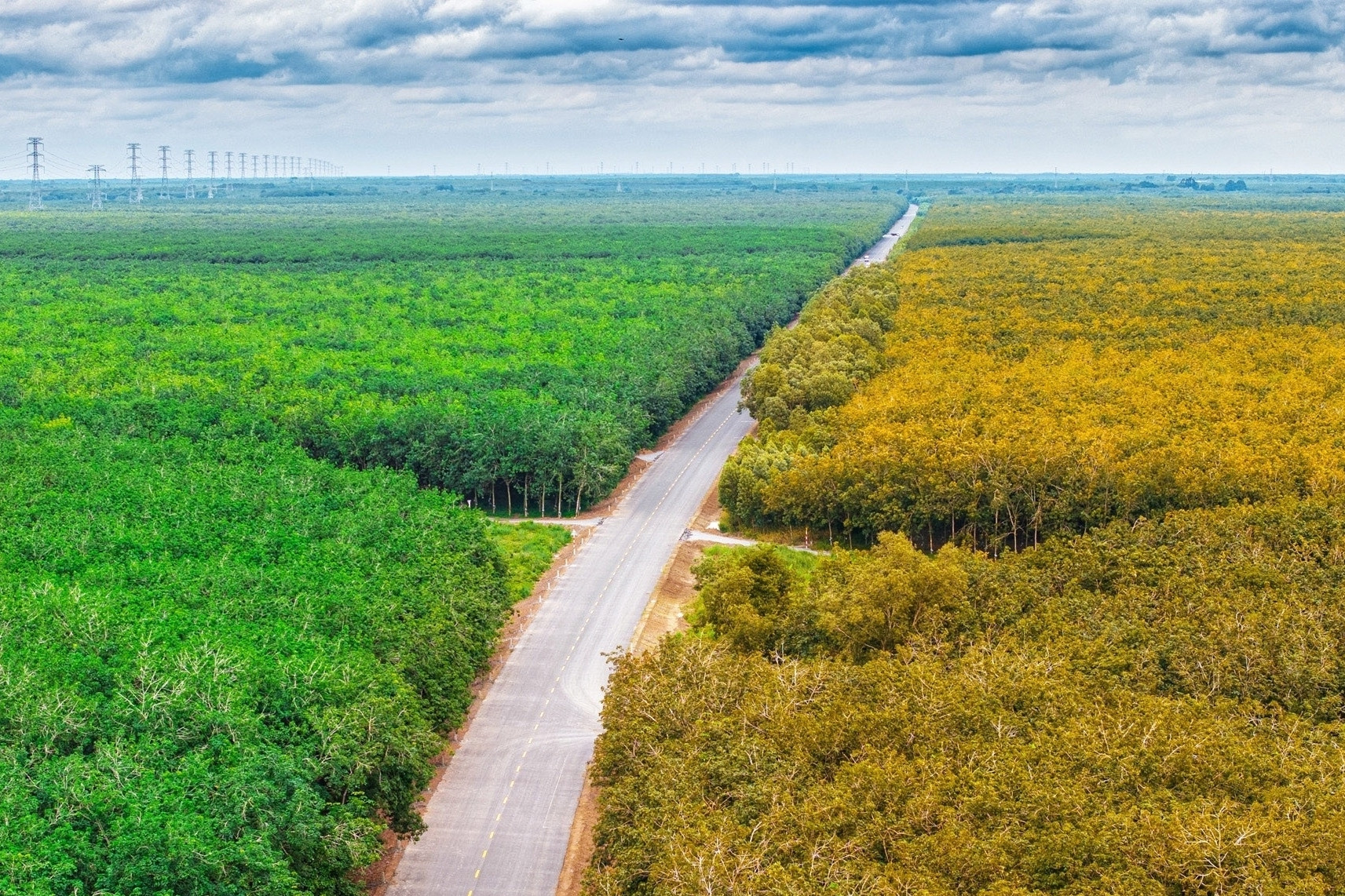 Vẻ đẹp say đắm lòng người của cung đường Hồ Chí Minh nhìn từ trên cao