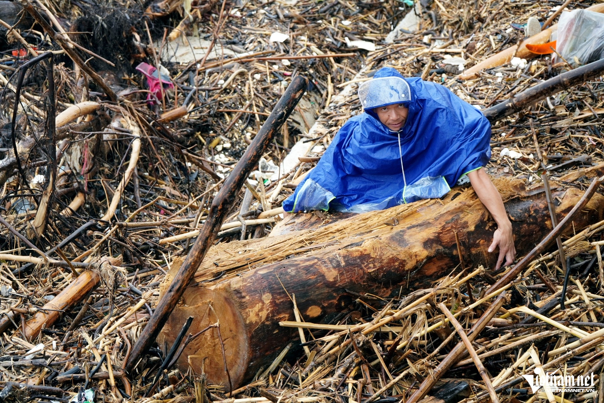 W-a2Điều bất ngờ ở bãi biển Thanh Hóa.JPG.jpg