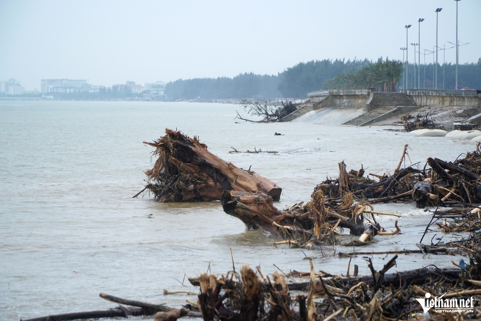 W-a6Điều bất ngờ ở bãi biển Thanh Hóa.JPG.jpg