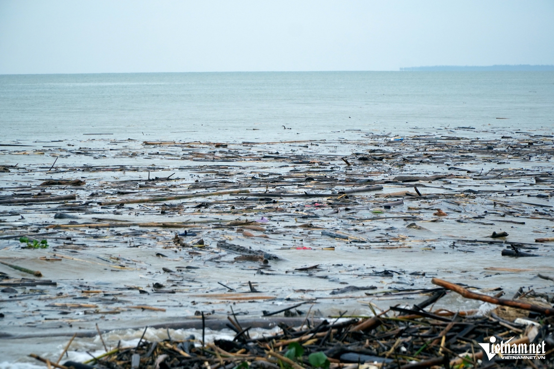 W-a8Điều bất ngờ ở bãi biển Thanh Hóa.JPG.jpg