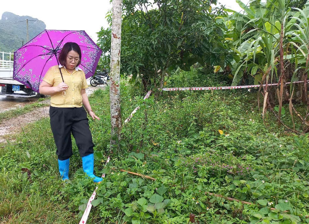 z7087449831542_f98ff2926f38eaf791615a937a5c8abe 1728.jpg