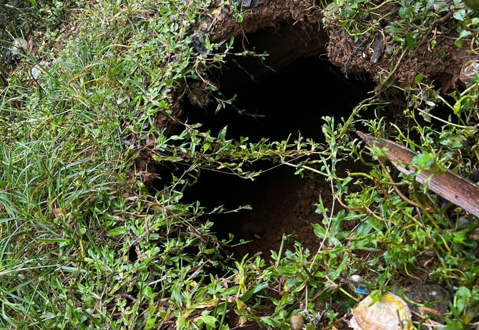 z7087450744670_ac3e2a1a6fcb0bb59004b9955aef3f51 1727.jpg