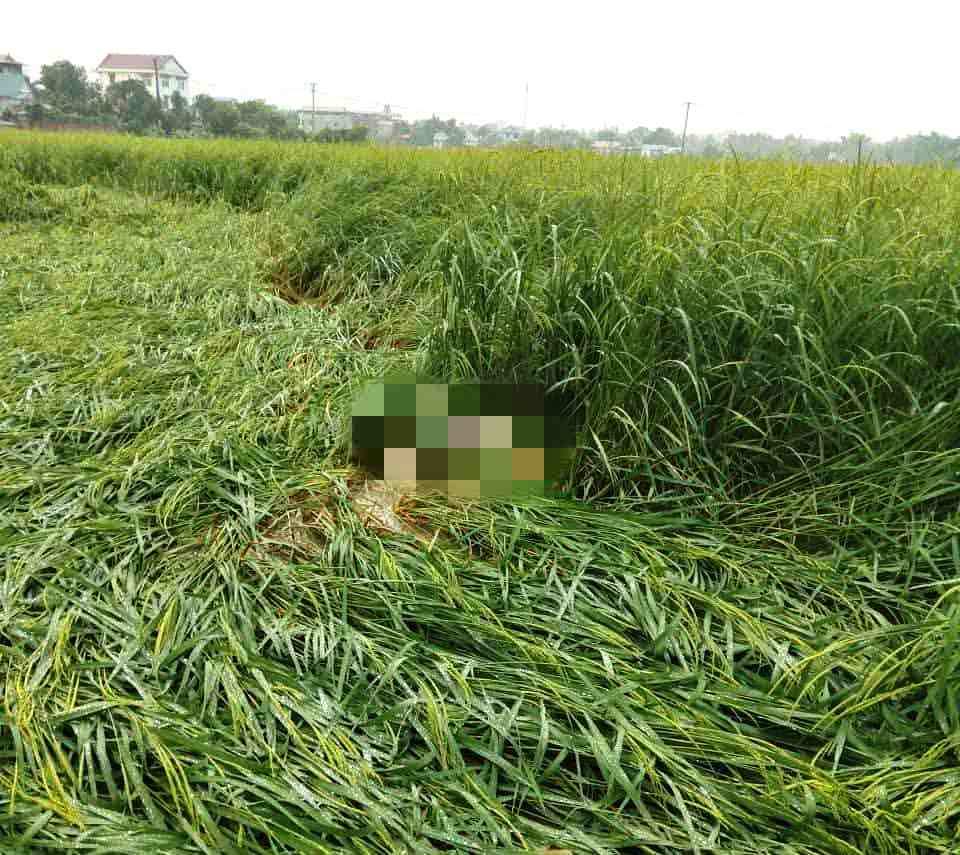 b0f5eeb7 7896 4b72 8c94 4d83e7e3efcc.jpg