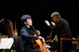 Cello Phan Đỗ Phúc Silent woods.JPG
