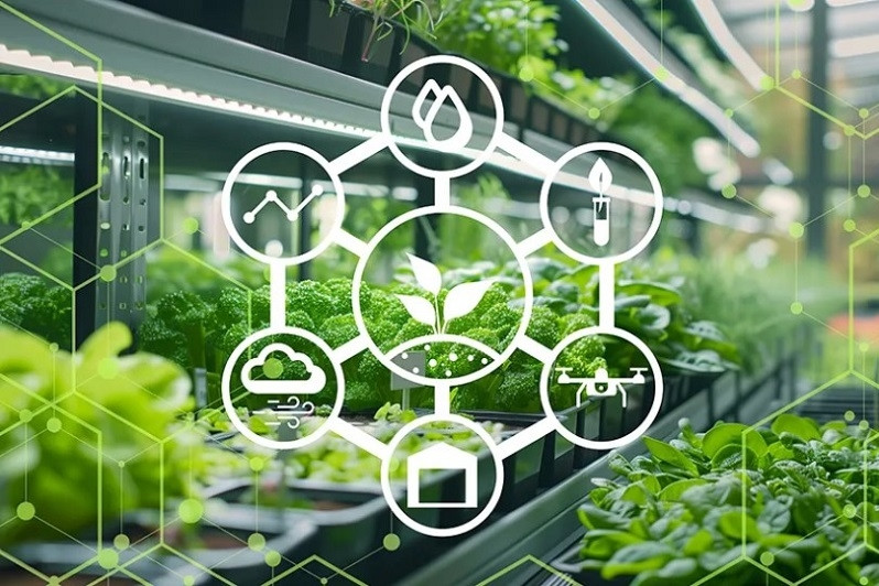 Công bố Top 10 Công ty uy tín ngành Nông nghiệp Công nghệ cao năm 2025