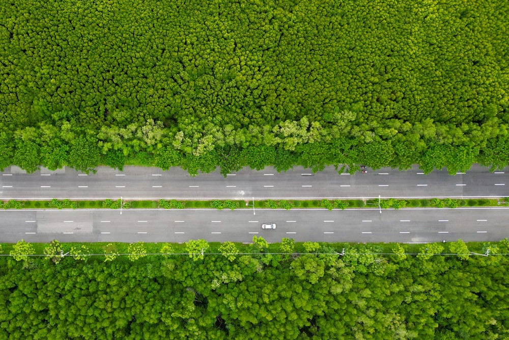 Hành lang pháp lý chưa hoàn thiện, TPHCM chưa thể giao dịch tín chỉ carbon