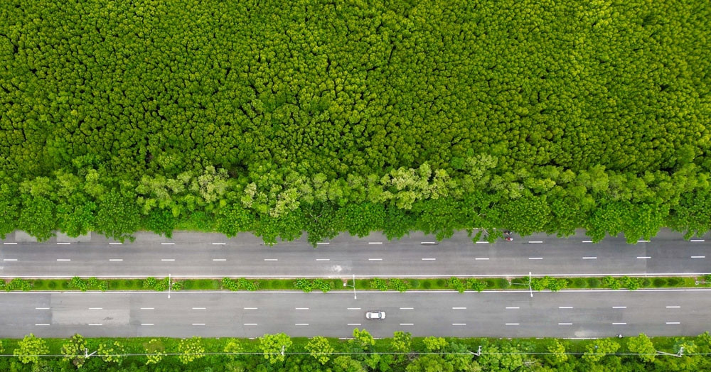 Hành lang pháp lý chưa hoàn thiện, TPHCM chưa thể giao dịch tín chỉ carbon